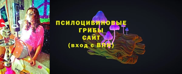 ГАЛЛЮЦИНОГЕННЫЕ ГРИБЫ Алексин
