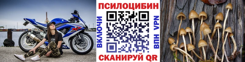 Галлюциногенные грибы мухоморы  Шелехов 